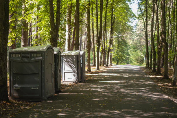 Best Sanitation services for porta potties  in Dana, NC